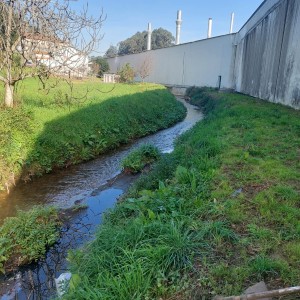 faixas ripicolas.jpg II